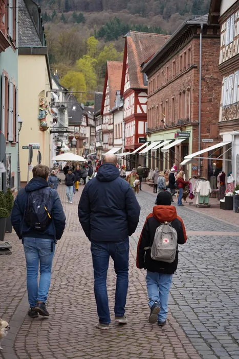 Gruppe Altstadt Miltenberg